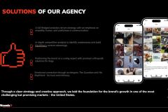 Establishing EachPaw as a Trusted Name in Orthopedic Pet Care